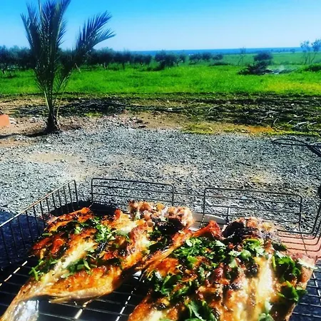 Paradise Garden Larnaca